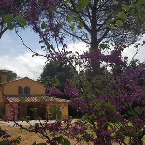 Villa Il Montedoro, Guardistallo